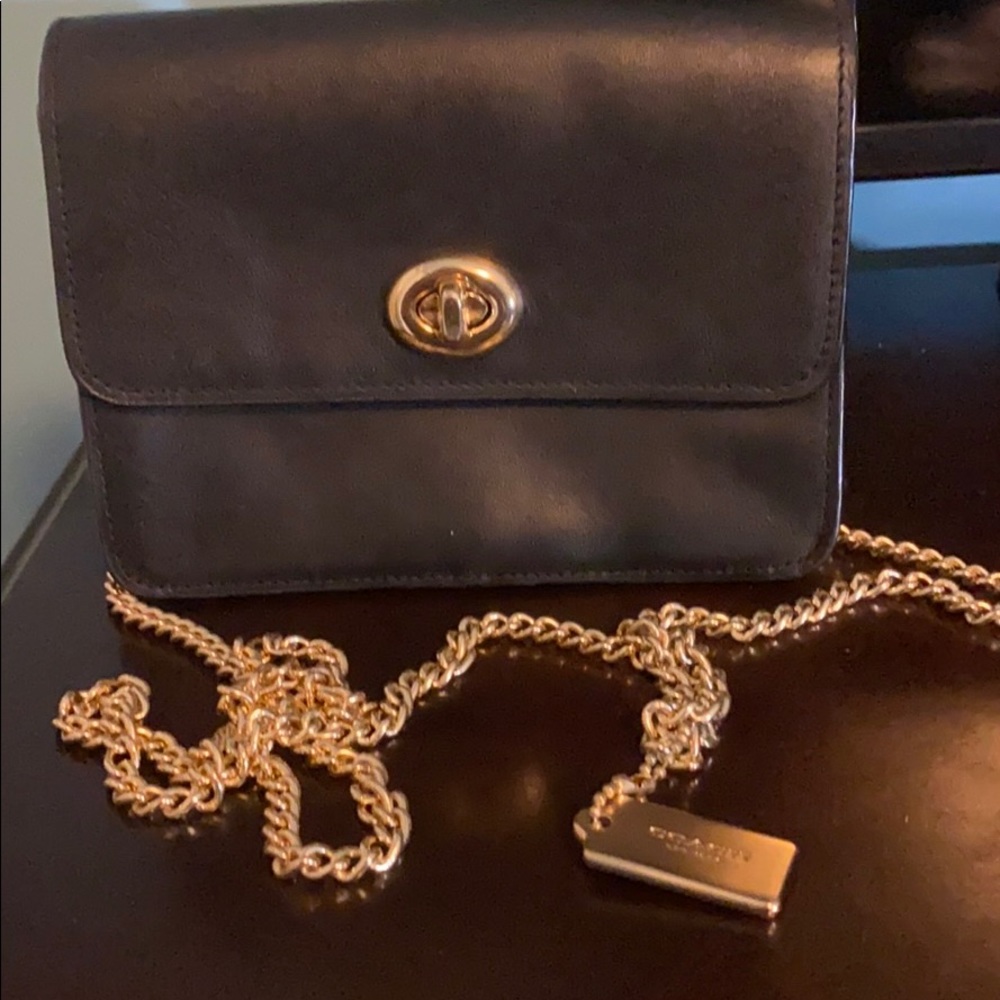 Small Coach Purse
